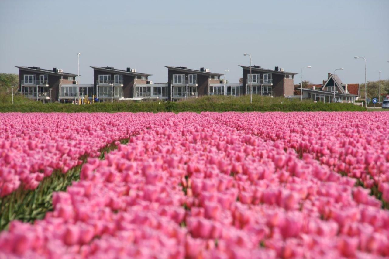 Het Strandleven 4 โครเทอ เคเทิน ภายนอก รูปภาพ